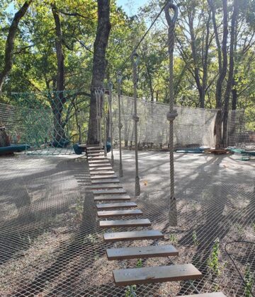 Mystic Wood Parc - FARGUES - Sud-Gironde