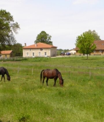 Sauviac - Grange de Majouraou