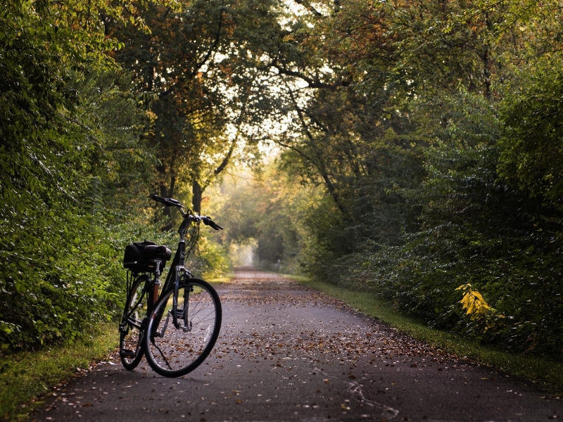 Vélo - Bazadais