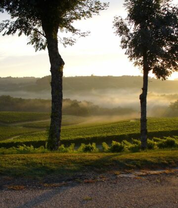 Destination Garonne, vignoble Tinon, Sainte-Croix-Du-Mont