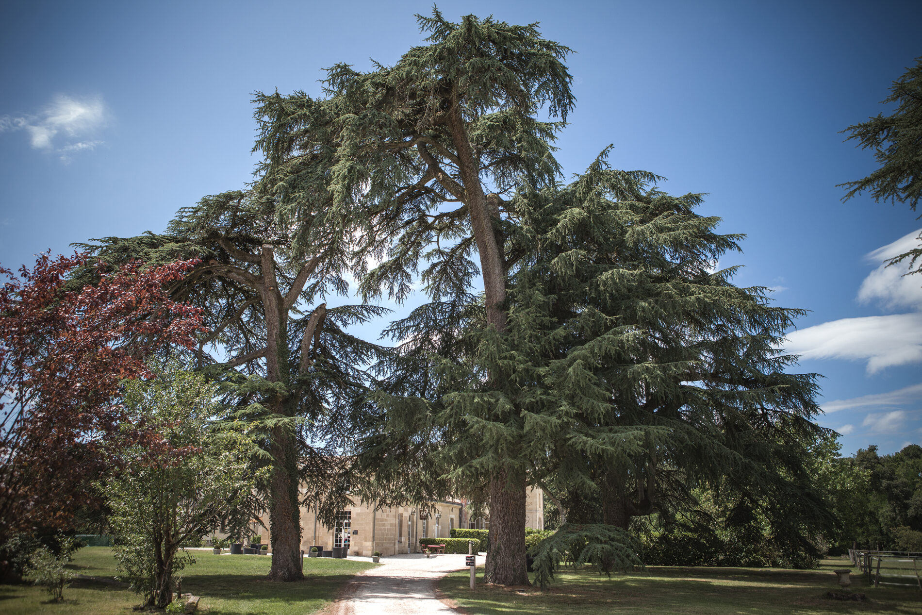 chateau_leognan_balade vigneronne