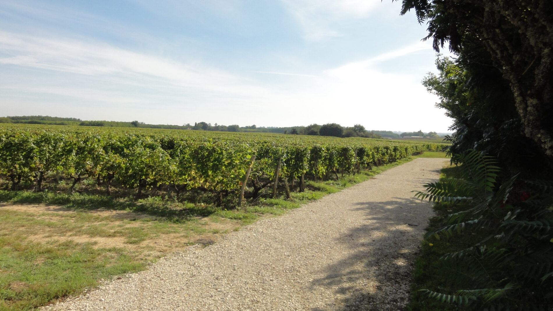 domaine-courbin-heritage-pres-de-bordeaux--7-