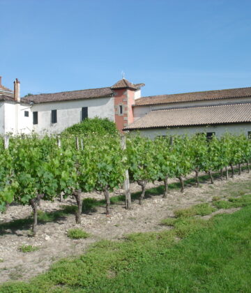 Domaines Latrille Bonnin - MAZÈRES - Sud-Gironde