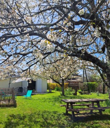 jardin cerisiers