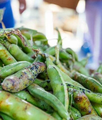 Marché Sud-Gironde