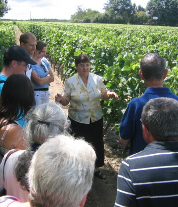 Château Le Maine Périn - LANGON - Sud-Gironde