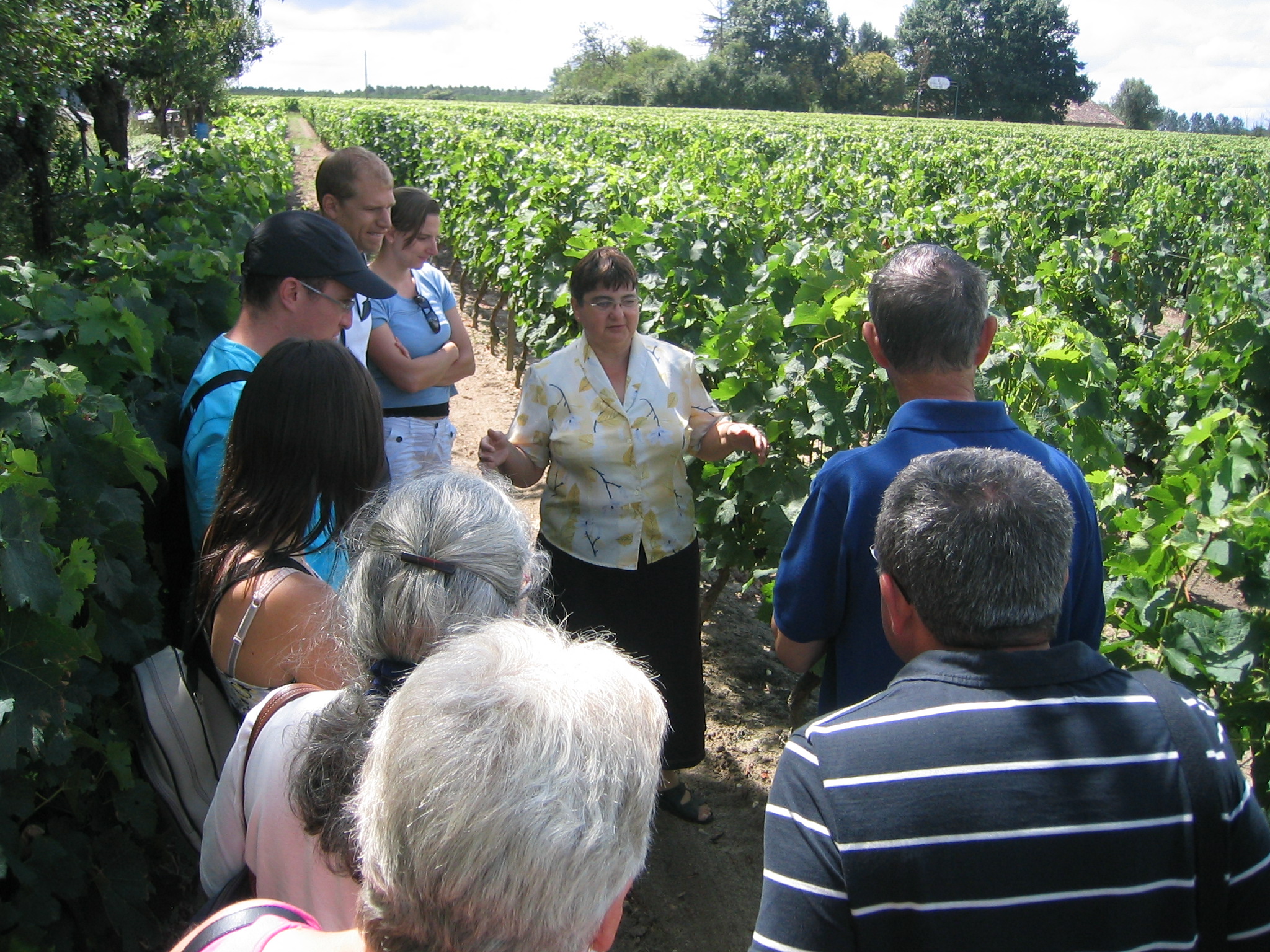 Château Le Maine Périn - LANGON - Sud-Gironde