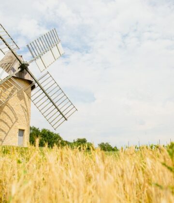 VERDELAIS - Moulin de Cussol - Sud-Gironde