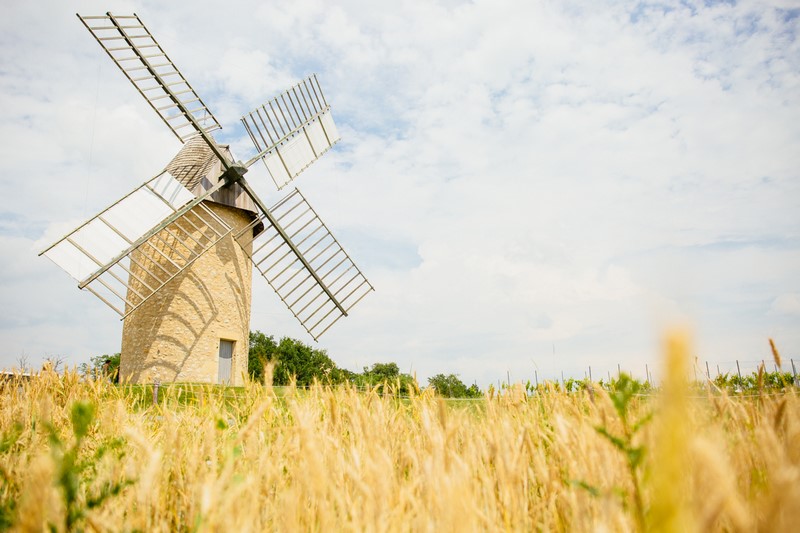 VERDELAIS - Moulin de Cussol - Sud-Gironde