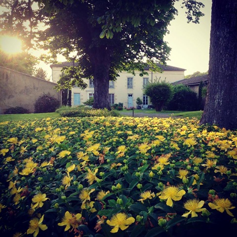 Destination Garonne, Château Peller Laroque, Laroque