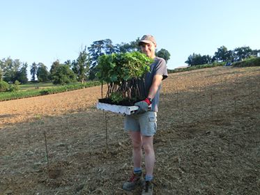 Destination Garonne, Château Peller Laroque, Laroque