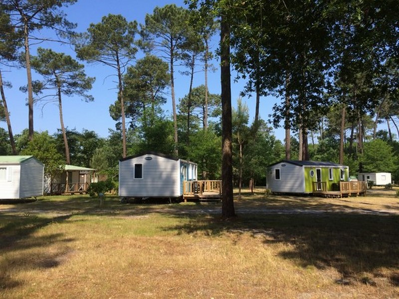 Camping Vert Bord'eau - SAINT SYMPHORIEN - Sud-Gironde