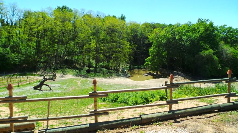 Destination Garonne, Lodge, Monprimblanc, terrain