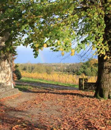 Destination Garonne, Château la Mouleyre, Sainte_Croix-Du-Mont